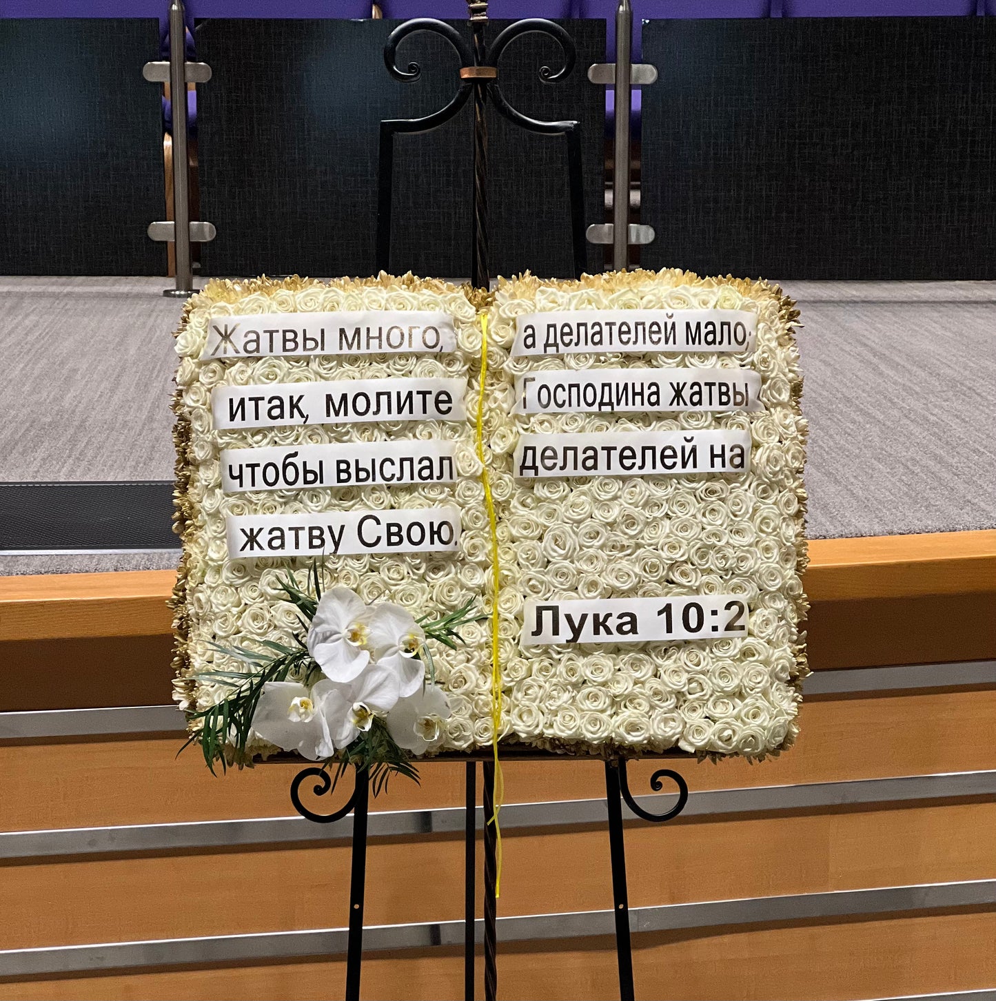 Bible Arrangement