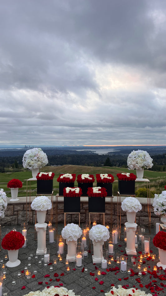 "Marry Me" Boxed Proposal Set Up